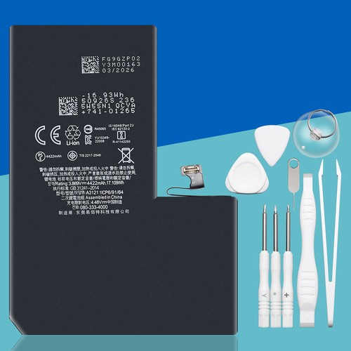 Ricambio batteria interna per